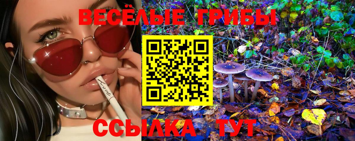 Батайск  Псилоцибиновые грибы Psilocybine cubensis  Псилоцибиновые грибы Psilocybine cubensis  Вход с VPN 
